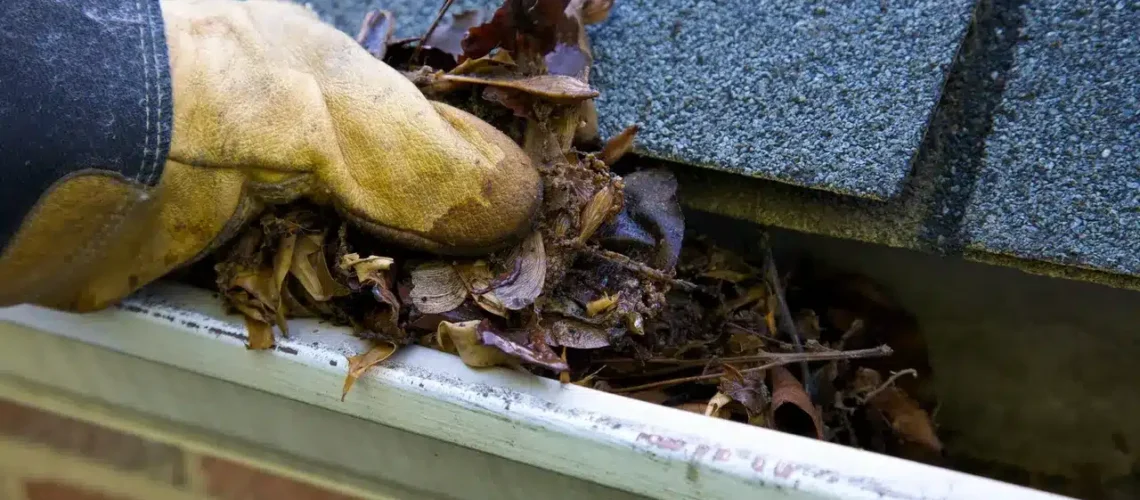 Clean Those Gutters!